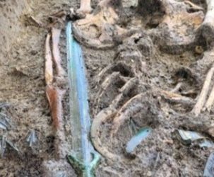 Arkeolog Jerman Temukan Pedang Zaman Perunggu, Terlihat Masih Berkilau