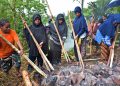 Tradisi Bakar Batu, Media Silaturahmi Masyarakat Papua dengan Cara Masak Bersama