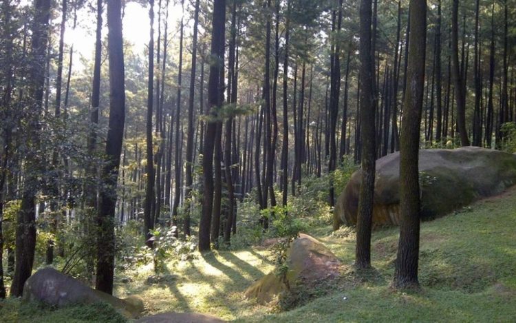 Rekreasi Asyik! Menapaki Sejuk dan Indahnya Wisata Gunung Pancar 