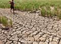 Waspada! Sebagian Wilayah Indonesia Sudah Memasuki Dampak El Nino 