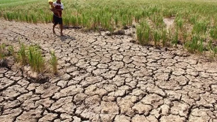 Waspada! Sebagian Wilayah Indonesia Sudah Memasuki Dampak El Nino 