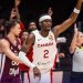 Seru! Gelaran FIBA Basketball World Cup 2023 Undang Antusiasme Pecinta Basket