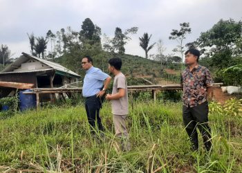 Sukses Kelola Usaha Pertanian, Alumni Polbangtan Kementan Terpilih Jadi Tenant Inkubator Agribisnis