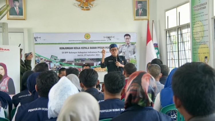Kunjungi BPP Balongan, Kementan Sebut Pertanian Berkontribusi Nyata Terhadap Ekonomi