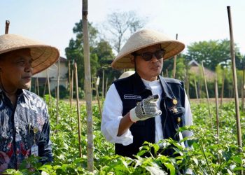 Transformasi Pertanian Modern, Petani Masa Kini Wajib Terapkan Smart Farming