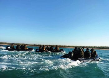 Exercise Wirrajaya Ausindo, Kolaborasi Bidang Pertahanan TNI AD dan ADF