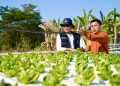 Kunjungi Petani Milenial Pasuruan, Kementan Sampaikan 3 Elemen Utama Syarat Keberhasilan Petani Muda