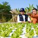 Kunjungi Petani Milenial Pasuruan, Kementan Sampaikan 3 Elemen Utama Syarat Keberhasilan Petani Muda