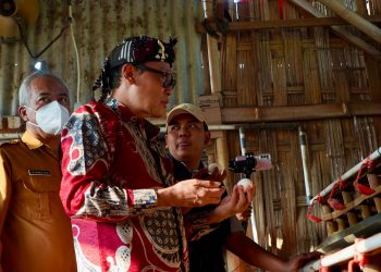 Lihat Ceruk Pasar, Petani Milenial Jawa Gresik Tangkap Peluang Dari Ayam Arab