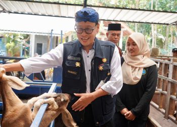 Diversifikasi Produk dan Olahan Kambing Jadi Bukti Keberhasilan P4S Lurisae Purworejo