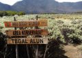 Eksotik! Gunung Papandayan yang Menarik dengan Hutan Mati dan Taman Edelweis Tegal Alun 