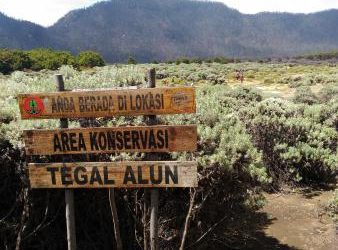 Eksotik! Gunung Papandayan yang Menarik dengan Hutan Mati dan Taman Edelweis Tegal Alun 