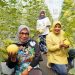 Made Fresh Berikan Sensasi Metik Buah Melon