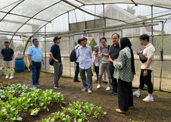 Kembangkan Potensi Petani Milenial, Kementan Kerjasama Kembangkan Smart Green House dengan Korea Selatan