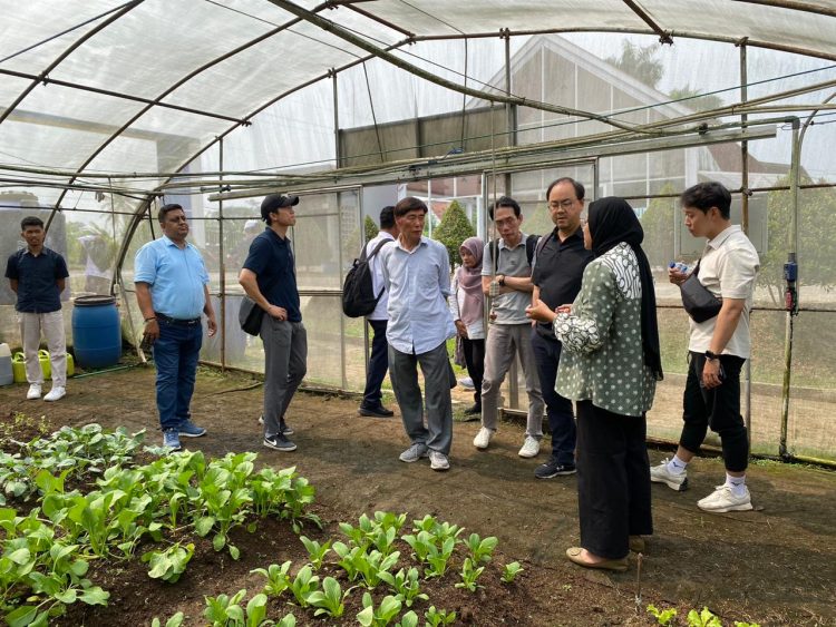 Kembangkan Potensi Petani Milenial, Kementan Kerjasama Kembangkan Smart Green House dengan Korea Selatan