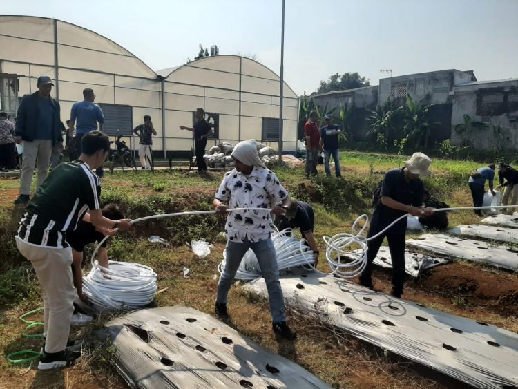 Teknologi Smart Farming Jawab Kebutuhan Petani Milenial