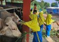 Tumbuhkan Minat Generasi Muda di Bidang Pertanian Sejak Dini lewat Agroeduwisata Peternakan