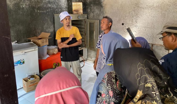 Potensi Wilayah, Petani Muda Kembangkan Klaster Nanas Subang