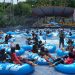 The Jungle Siapkan Hadiah di Liburan Akhir Tahun