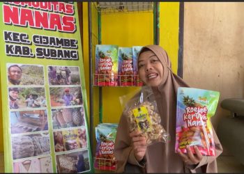 Inovasi Usaha, Petani Muda Subang Ciptakan Sale dari Olahan Nanas