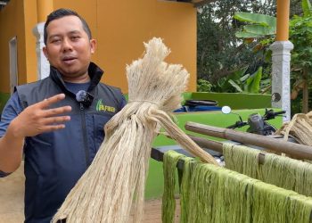 Produktif, Petani Muda Subang Sukses Ekspor Serat Daun Nanas ke Mancanegara