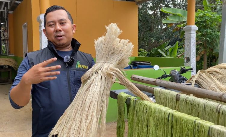 Produktif, Petani Muda Subang Sukses Ekspor Serat Daun Nanas ke Mancanegara
