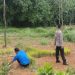 Seorang ODGJ Bunuh Ayah Kandung di Kebun