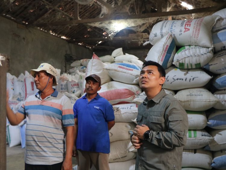 Kementan Dorong Peningkatan Produktivitas Padi melalui Program IMMACo di Indramayu