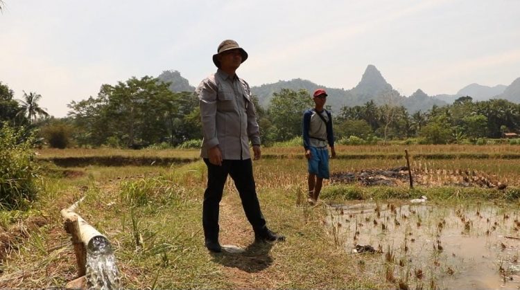 Kementan Atasi Masalah Kekeringan Lahan Sawah di Desa Tanjung Rasa