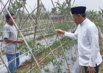 Targetkan Swasembada Pangan, Paslon Rudy Susmanto – Jaro Ade Akan Jadikan Sektor Pertanian Skala Prioritas