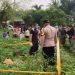 Innalilahi! Warga Temukan Mayat Perempuan Bugil dan Membusuk di Kebun Singkong 