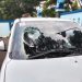 Dikeroyok Orang Tak Dikenal, Anggota PWI Kabupaten Bogor Lapor Polisi