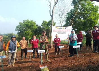 Gerakan Tanam Padi Gogo di Lahan Sawah Tadah Hujan Kabupaten Bogor