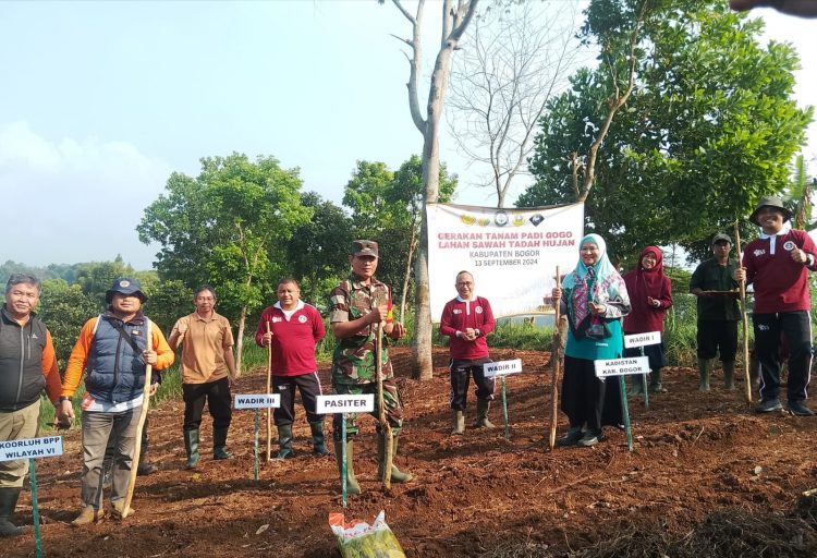 Gerakan Tanam Padi Gogo di Lahan Sawah Tadah Hujan Kabupaten Bogor