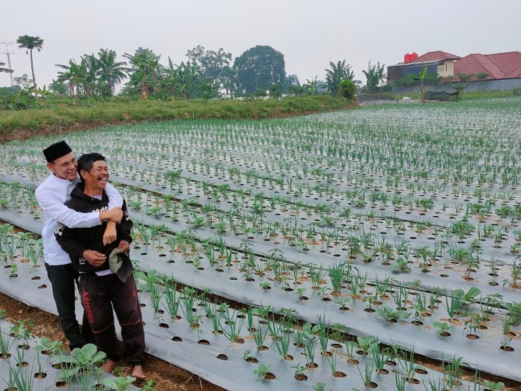 Cawabup Jaro Ade Usulkan Pembangun Pasar Central Sayuran 