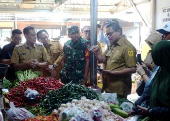 Wabup Bogor Jaro Ade Sidak Harga Pangan di Pasar Leuwiliang 