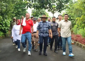 Sukseskan Program MBG Ketua DPRD Kabupaten Bogor dan APPSI Tinjau Peternakan Sapi