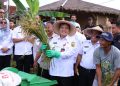 Tinjau Lokasi Pertanian, PJ Bupati Bachril Bakri Jamin Pasokan Pupuk Aman