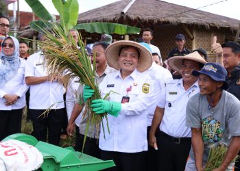 Tinjau Lokasi Pertanian, PJ Bupati Bachril Bakri Jamin Pasokan Pupuk Aman