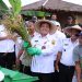 Tinjau Lokasi Pertanian, PJ Bupati Bachril Bakri Jamin Pasokan Pupuk Aman