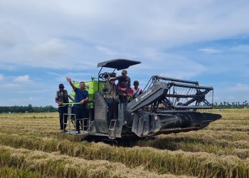 Polbangtan Kementan Sukseskan Program Swasembada Pangan di Provinsi Jambi
