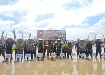 Wujudkan Swasembada Pangan Nasional, Polbangtan Kementan Dukung Penanaman Padi Serentak di Provinsi Jambi