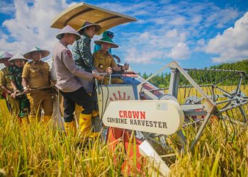 Panen Raya Padi Bareng Presiden, Dedie Rachim Dukung Kemandirian dan Ketahanan Pangan