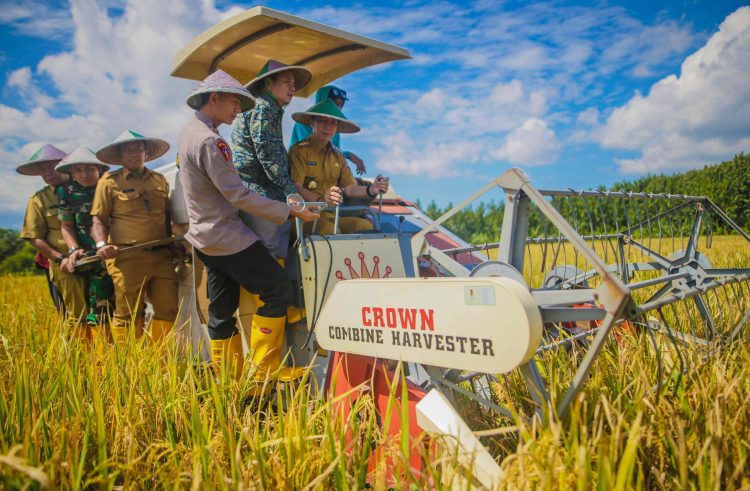 Panen Raya Padi Bareng Presiden, Dedie Rachim Dukung Kemandirian dan Ketahanan Pangan