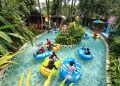Asik! Miliki Nama Dengan Awalan Huruf Ini Masuk Jungle Cuma Rp55 Ribu