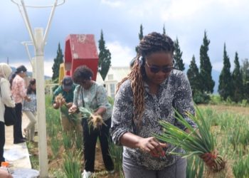 Sukses di Cianjur, Model Kewirausahaan Kementan Dilirik Delegasi Internasional