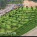 KTH Ciguha River Pasang Tanda Batas Untuk Lindungi Kawasan Hutan