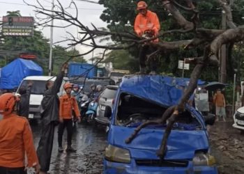 Sebuah Angkot Ringsek Tertimpa Pohon, Tiga Orang Terluka