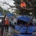 Sebuah Angkot Ringsek Tertimpa Pohon, Tiga Orang Terluka