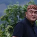 bus wisata